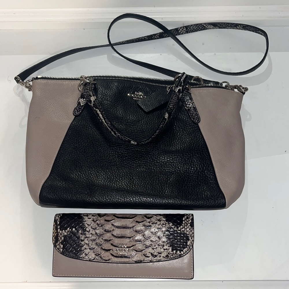 Coach colorblock Kelsey Python leather